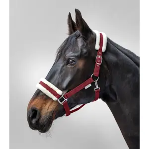 Halsband voor Mini-Shetland met vacht Waldhausen First image-1