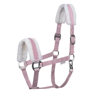 Cabresto para cavalos com pêlo Waldhausen First