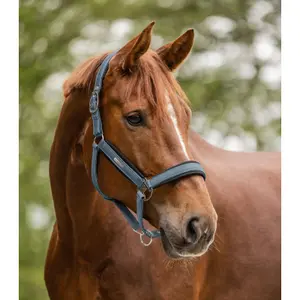 Halter for pony Waldhausen Breath image-1