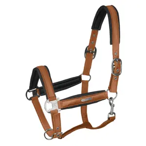 Pony Headcollar Waldhausen Breath image-0