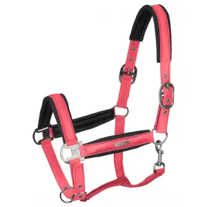 Pony Headcollar Waldhausen Breath image-0