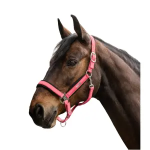 Pony Headcollar Waldhausen Breath image-1