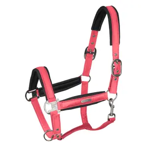 Halter for horse Waldhausen Breath image-0