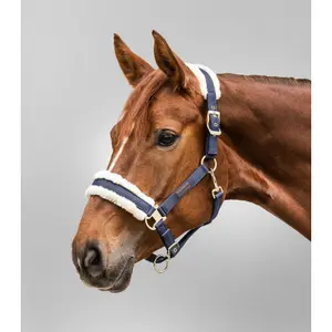 Cabresto para cavalos com pêlo Waldhausen Exclusive image-1