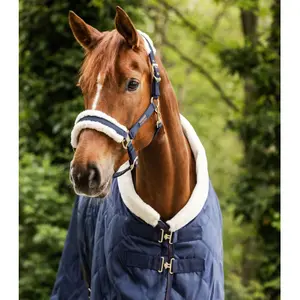 Cabresto para cavalos com pêlo Waldhausen Exclusive image-2