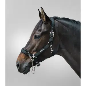 Halter for horse Waldhausen Pro Safety image-1