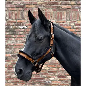 Halter for cob with fur Waldhausen Paris image-1