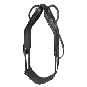 Surfaix per cavallo da volteggio e da longha Star