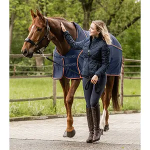 Summer fly sheet for horses Waldhausen Cooler image-0