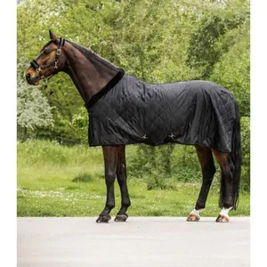 Stable Blanket Waldhausen Exclusive 50 g image-0