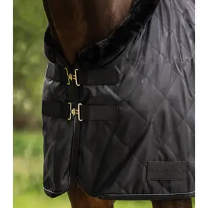 Stable Blanket Waldhausen Exclusive 50 g image-3
