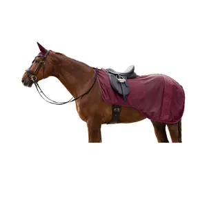 Fly Blanket Waldhausen Rom image-1