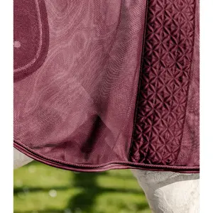 Fly Blanket Waldhausen Rom image-6