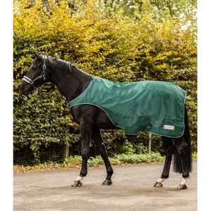 Couverture de marcheur pour cheval Waldhausen Comfort