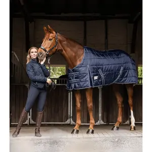 Stalldecke für Pferde Waldhausen Economic 100 g image-2