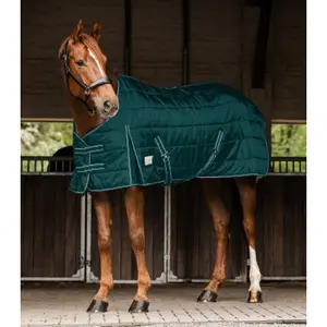 Derka stajenna dla koni Waldhausen Economic 100g image-1