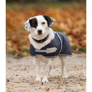 Raincoat for dogs Waldhausen Comfort image-1
