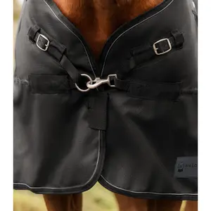 Außendecke für Pferde Waldhausen Scandic 300g image-2