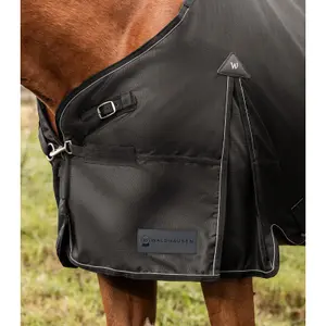Außendecke für Pferde Waldhausen Scandic 300g image-3