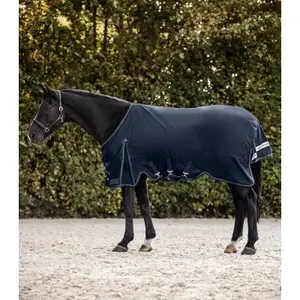 Couverture d'extérieur pour cheval Waldhausen Scandic 100g image-0