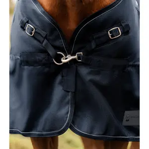 Couverture d'extérieur pour cheval Waldhausen Scandic 100g image-1