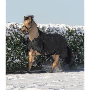 High-neck outdoor horse rug Waldhausen Scandic 0g image-2