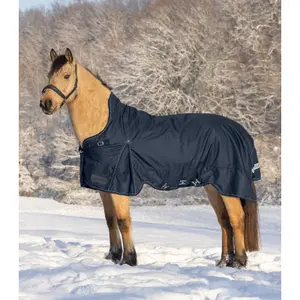 Couverture d'extérieur pour cheval col haute Waldhausen Scandic 100g image-1