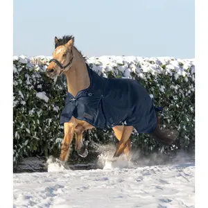 Couverture d'extérieur pour cheval col haute Waldhausen Scandic 100g image-3