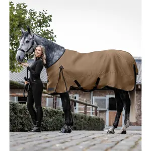 Manta para cavalos ao ar livre Waldhausen Arctic 300g image-0