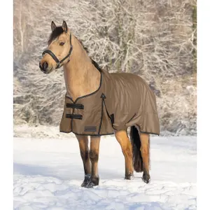 Manta para cavalos ao ar livre Waldhausen Arctic 300g image-1