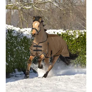 Manta para cavalos ao ar livre Waldhausen Arctic 300g image-2