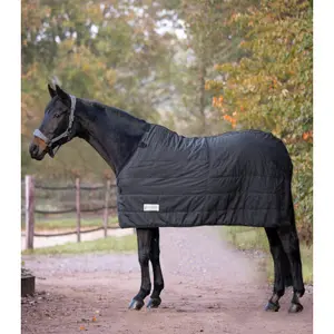 Sous-couverture pour cheval Waldhausen