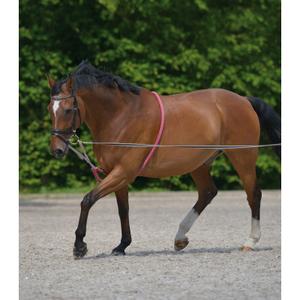 Special longe line training aid for horses Waldhausen image-2