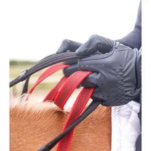 Pferdehalfter mit Sicherheitszügel Waldhausen Secutrust image-2