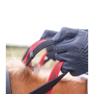 Pferdehalfter mit Sicherheitszügel Waldhausen Secutrust image-3