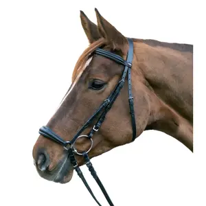 Combined noseband bridle Star Hannover
