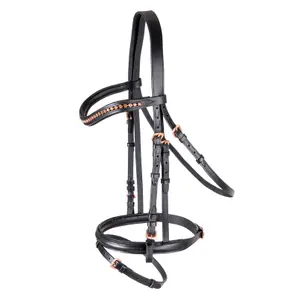 Bridon équitation muserolle combinée Star Rosemary