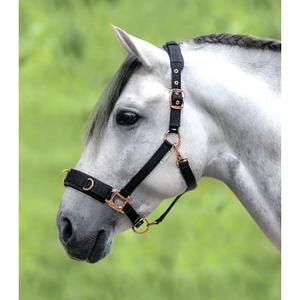 product/w/a/waldhausen_817201-pon_noir_2.jpg