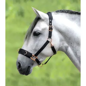 Rosanes Führleine Waldhausen image-1