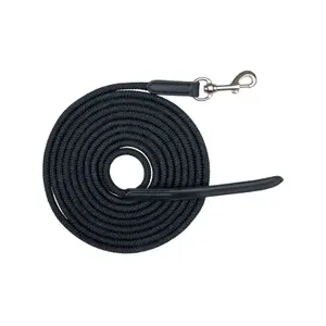Lightweight ground work lunge line with snap hook Waldhausen image-0