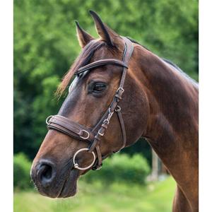 Anatomic leather hackamore for horse Waldhausen image-1