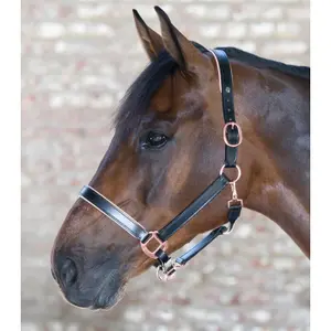 Pink leather headcollar for horses Waldhausen X-Line image-1