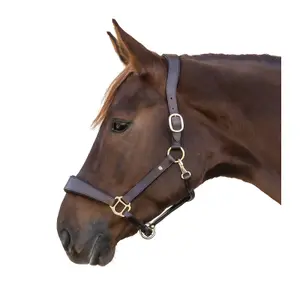 Hästgrimma Waldhausen X-Line image-1