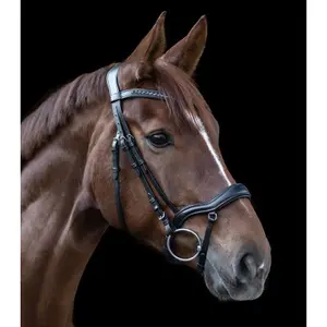 Cabeçada de equitação combinada com fita para o nariz Waldhausen X-Line New Shape II image-3