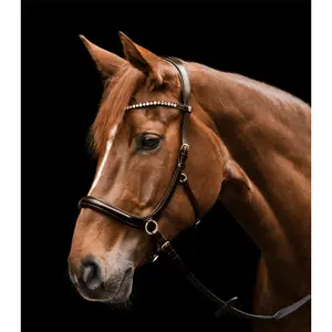 Bridon sans mors pour cheval Waldhausen X-Line image-1