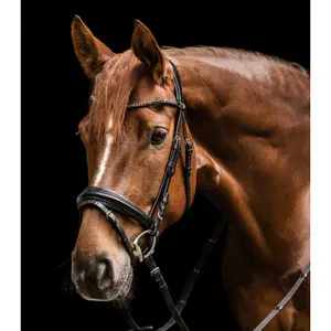 Engelsk-kombinerat ridträns Waldhausen X-Line Favorite image-3