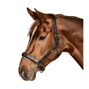 Licol pour poney en cuir Waldhausen Crystal image-1