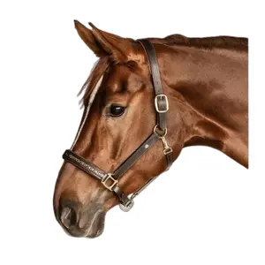 Lederhalfter für Ponys Waldhausen Crystal image-1