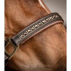 Lederhalfter für Ponys Waldhausen Crystal image-3