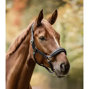 Halter for horse Waldhausen S-Line image-1